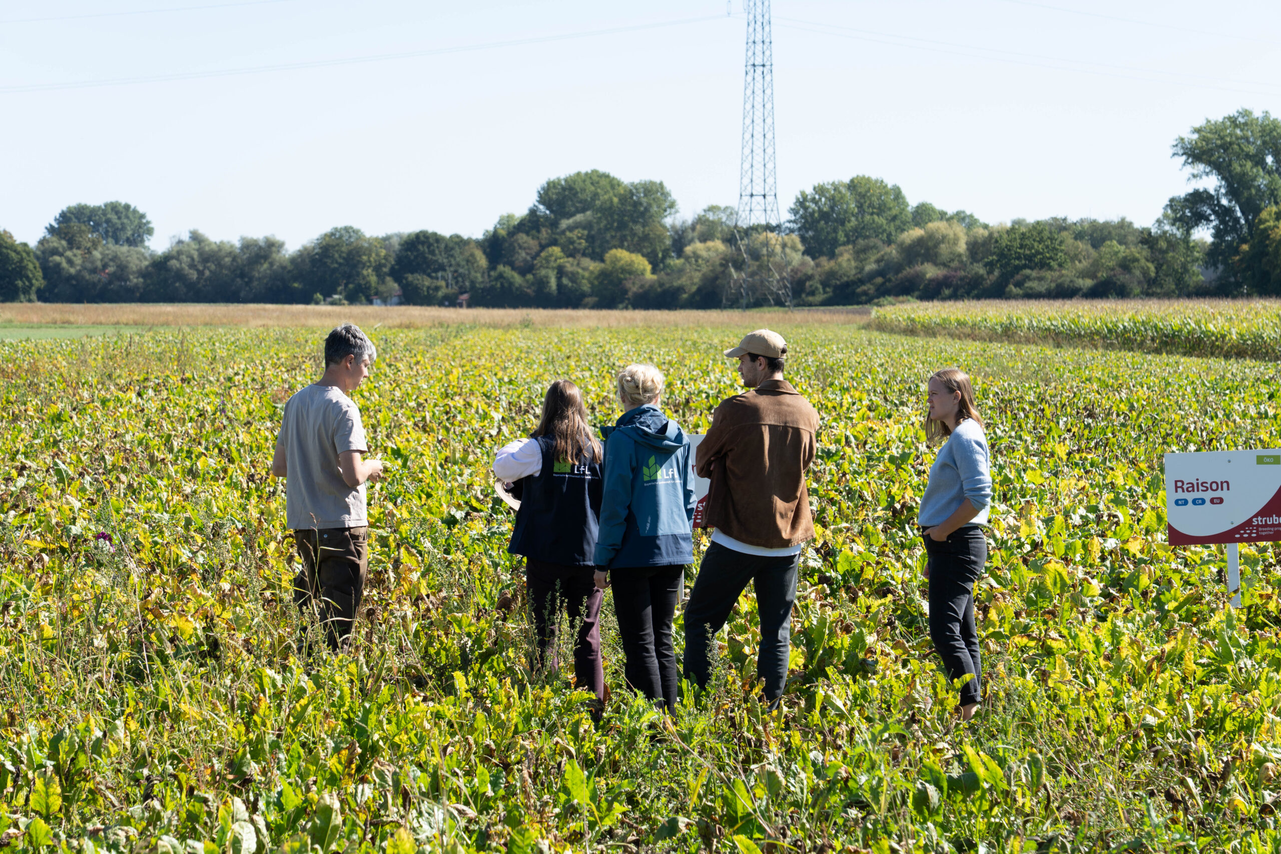 Gruppe steht diskutierend in einem Acker