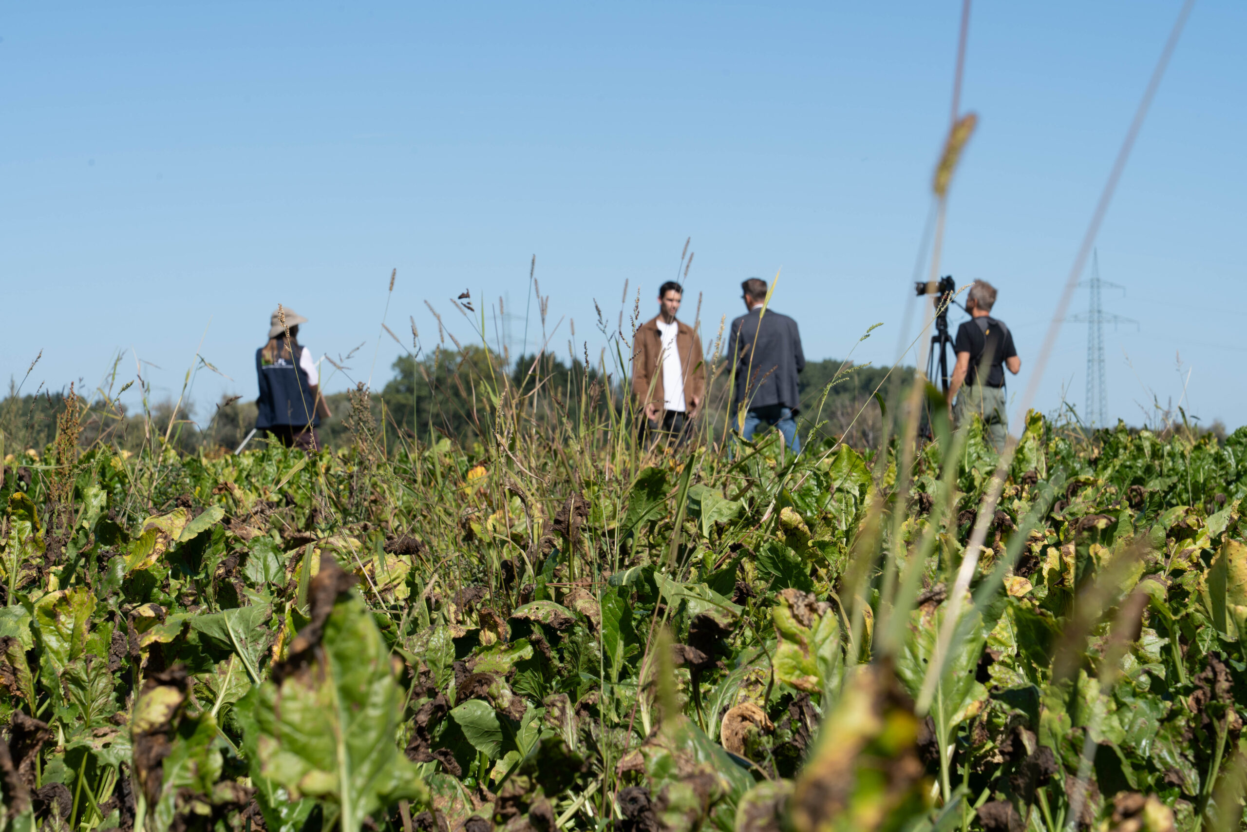 Gruppe dreht mit Kamera ein Video in einem Acker