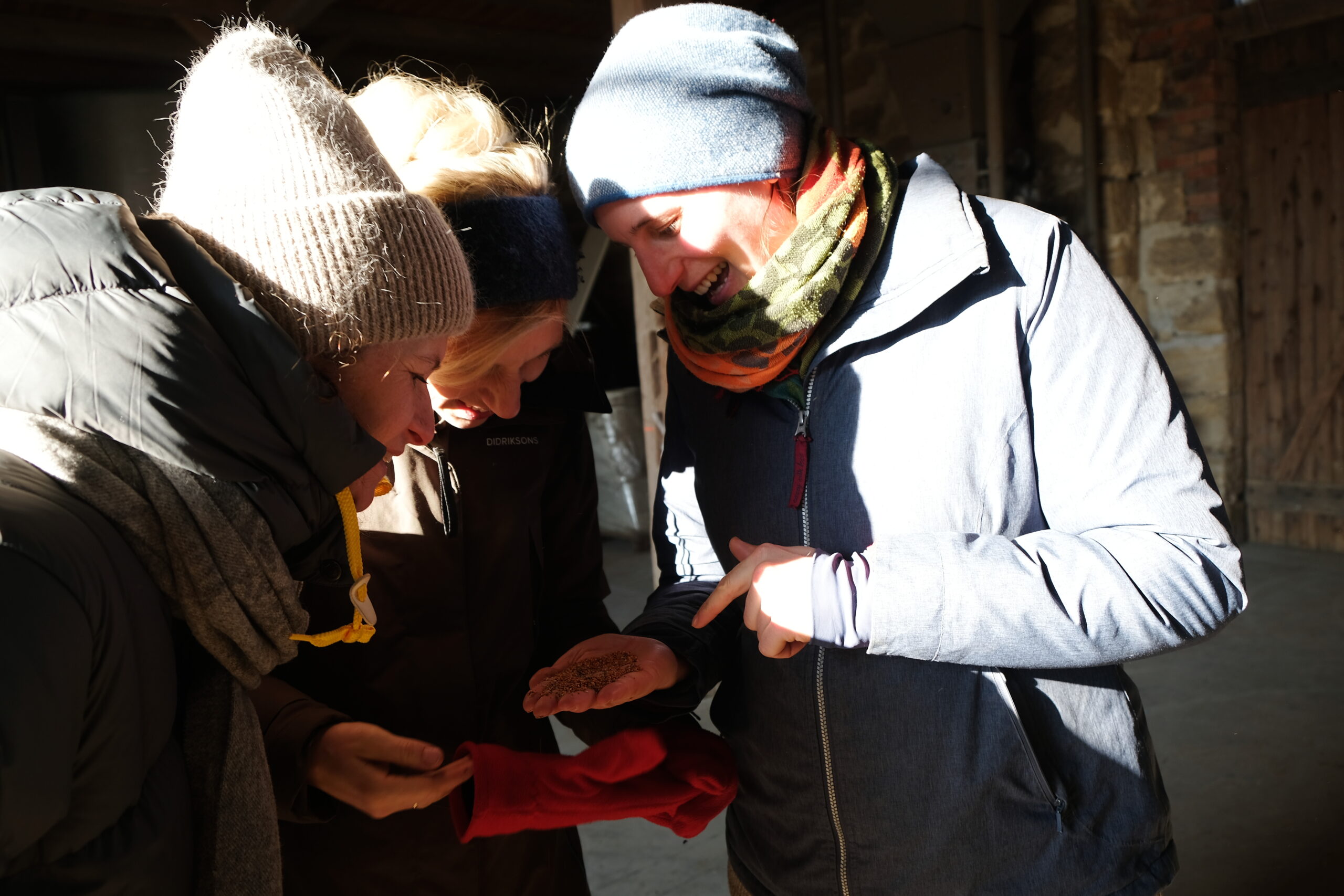 3 Frauen schauen sich Braunhirse genauer an.