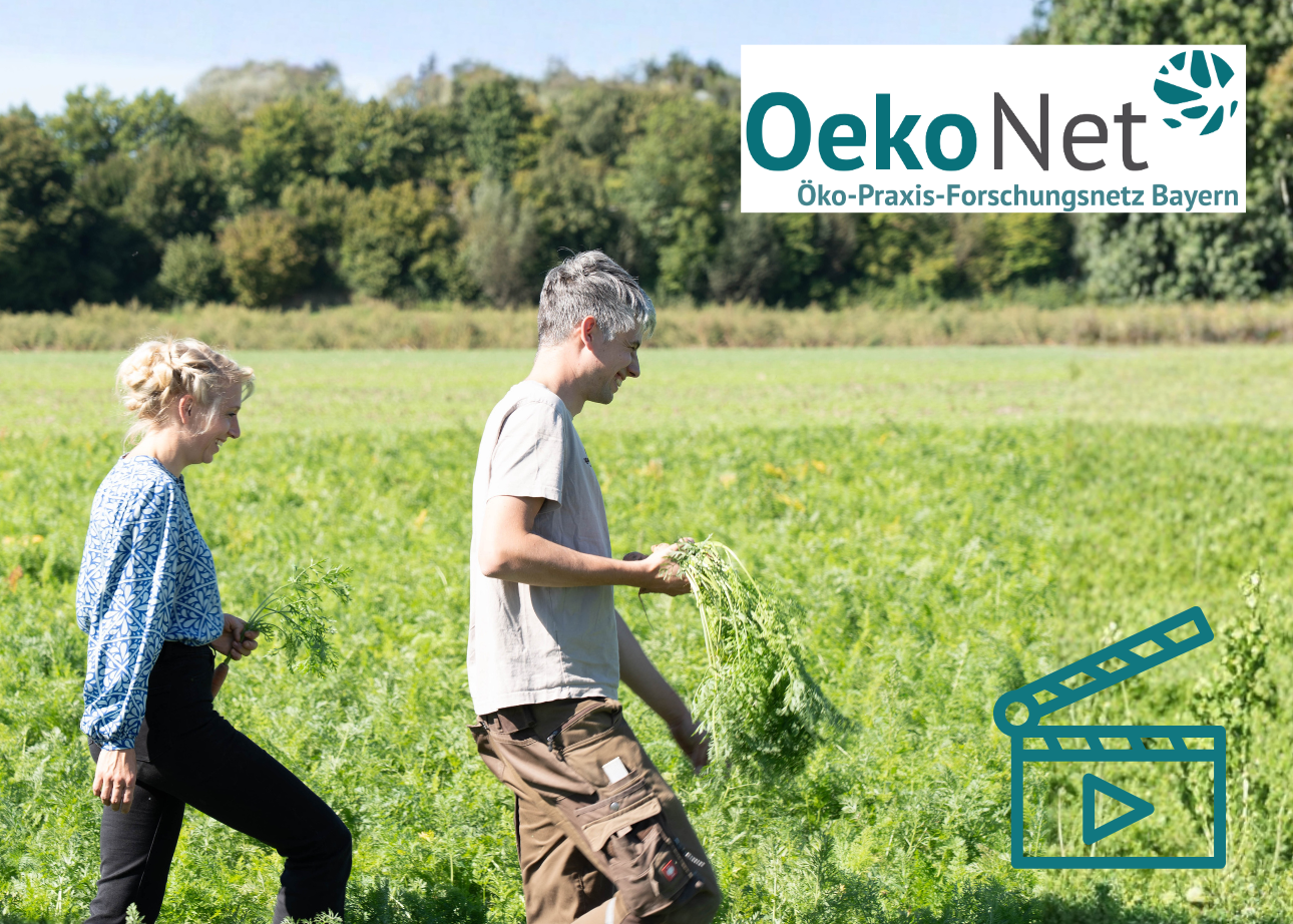 Menschen auf einem Feld