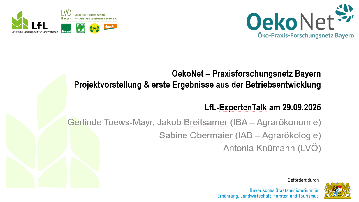 Praesentation Expertentalk