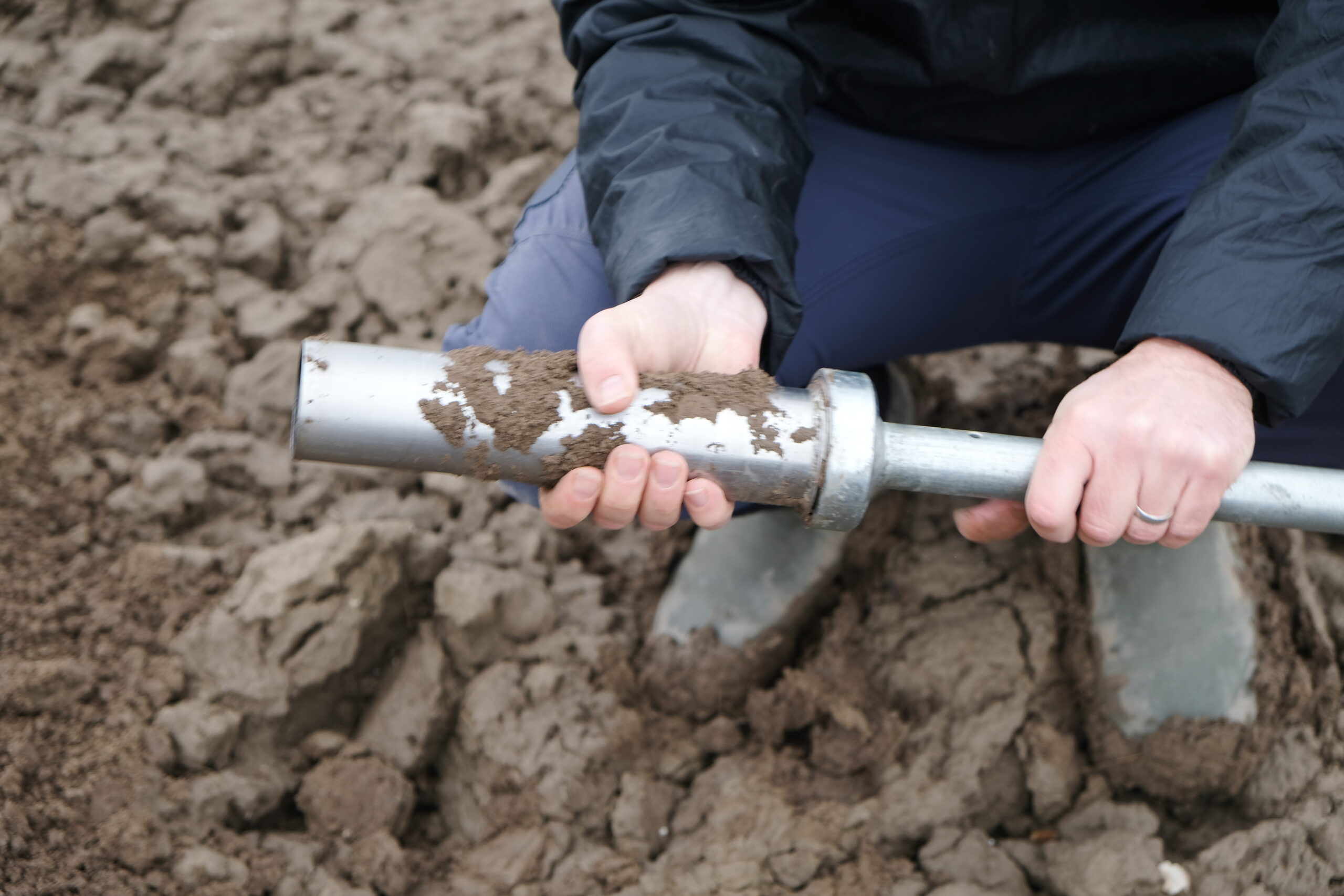 Mann hält Stechzylinder auf dem Acker