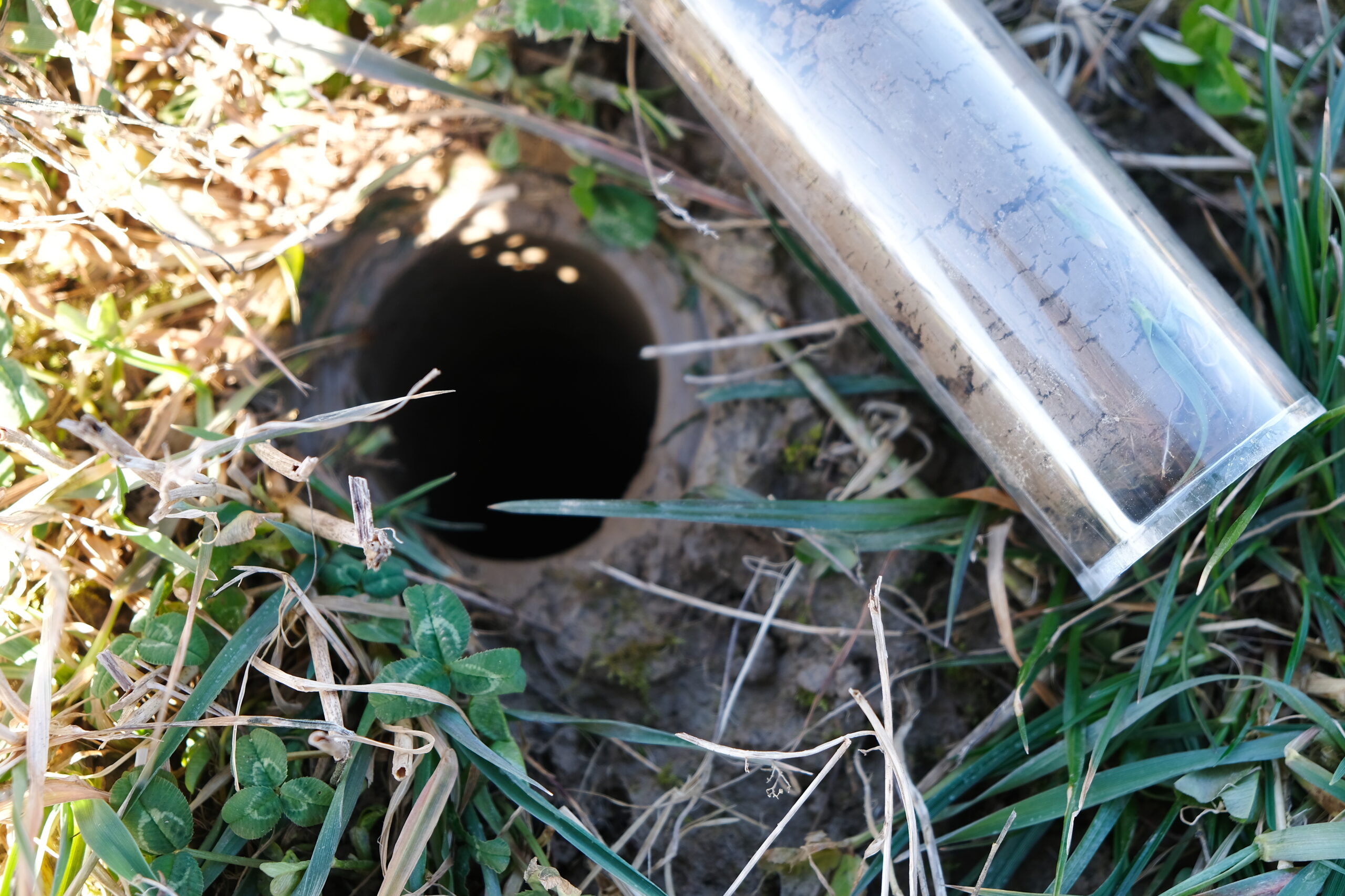 Nahaufnahme eines Stechzylinders nach Probenahme